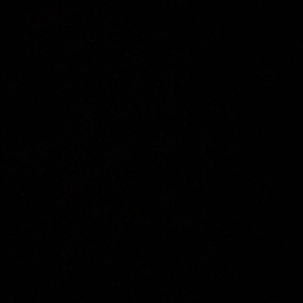 Meet your Posher, Zoie